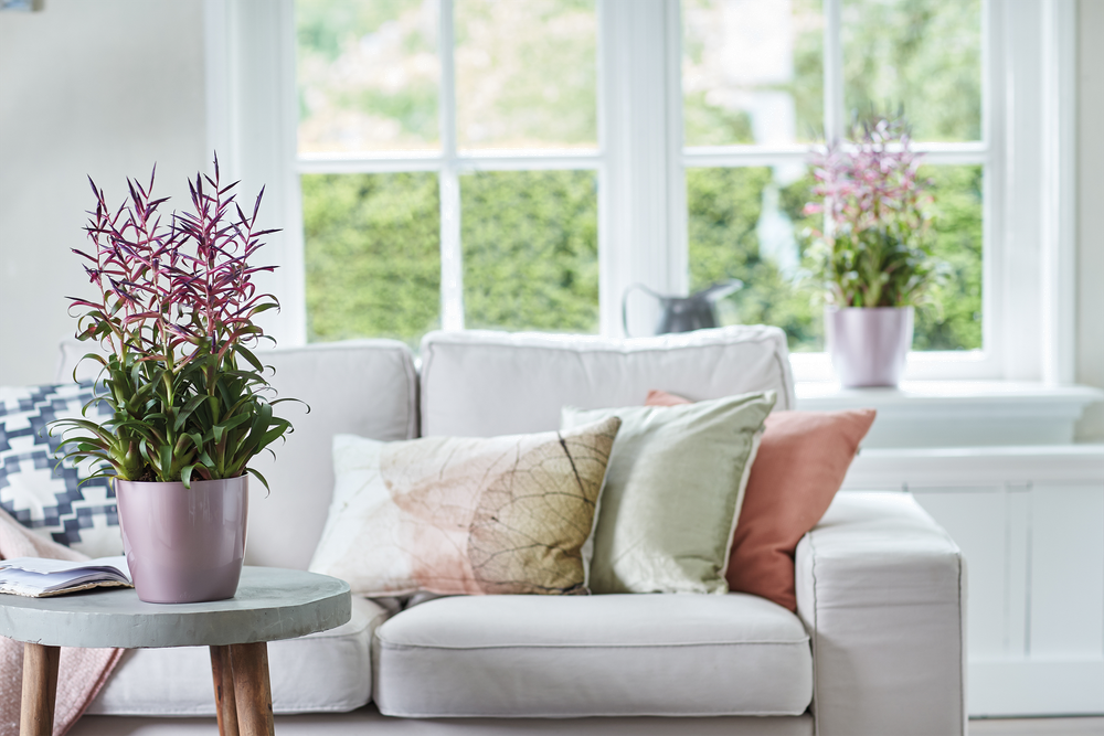 Brussels Diamond Rond 16