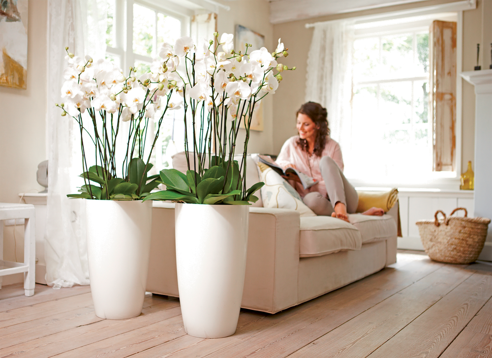 Brussels Diamond Rond Hoog 32