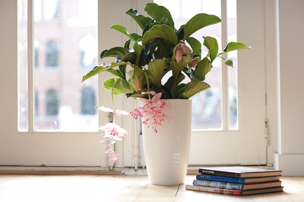 Brussels Diamond Rond Hoog 32