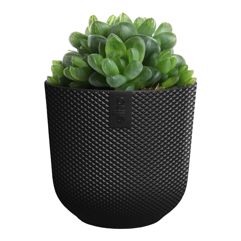 Jazz Rond Mini 7