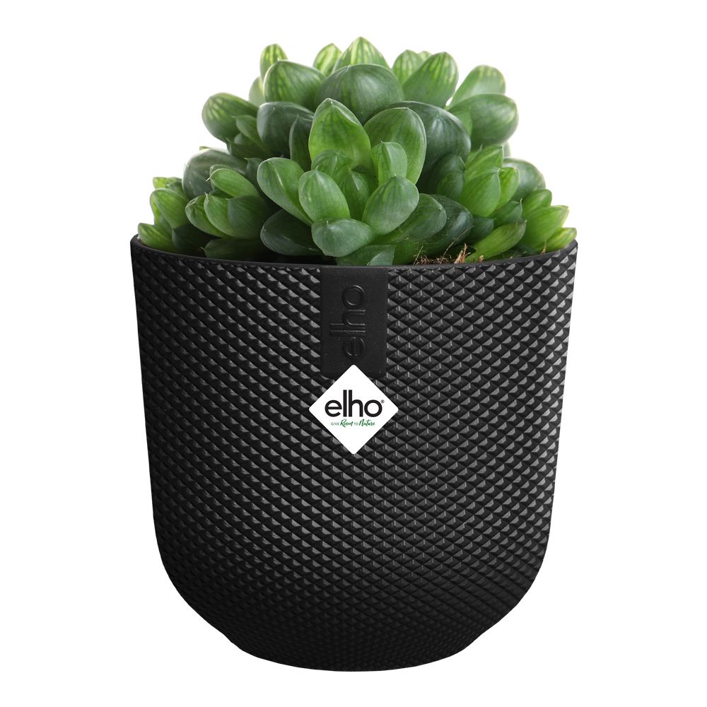 Jazz Rond Mini 9