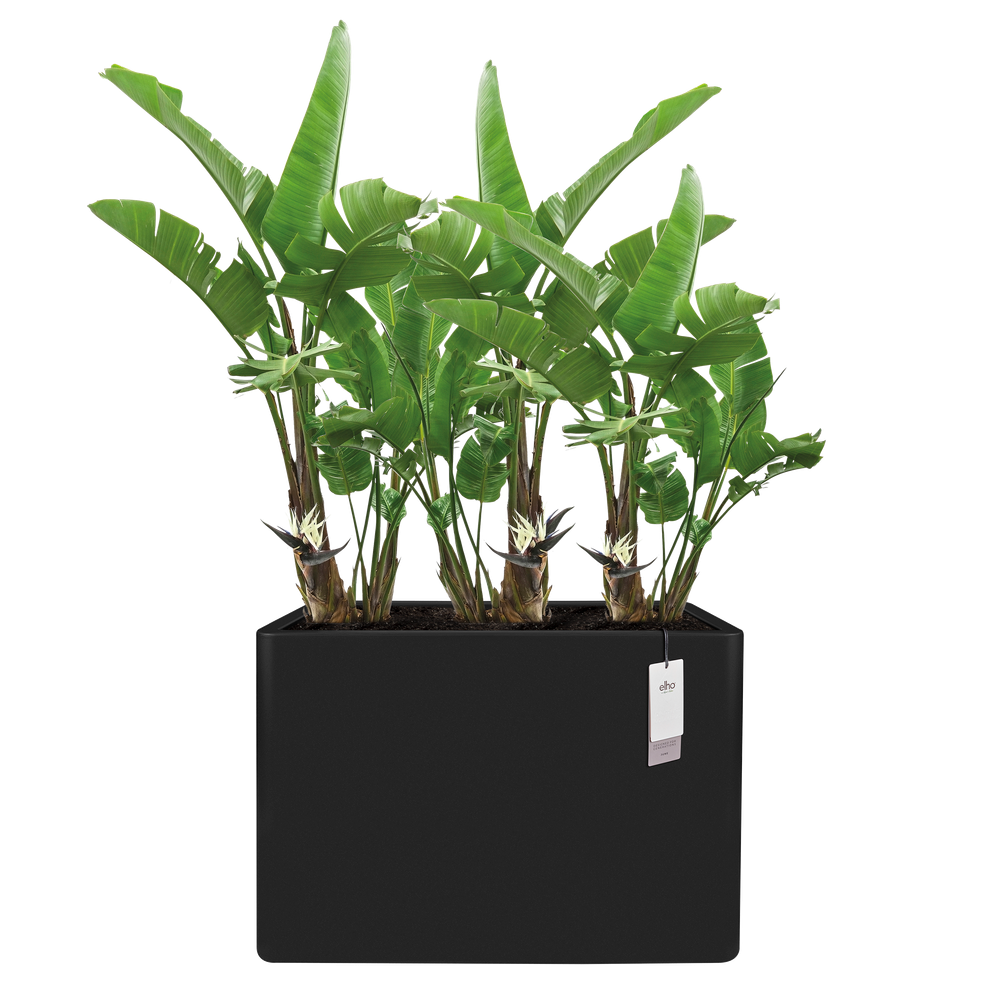 June Brick Divider 80