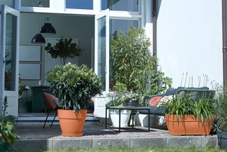 Loft Urban Schotel Rond 14