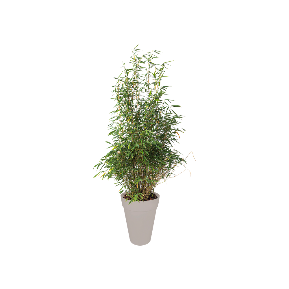 Loft Urban Rond Hoog 42