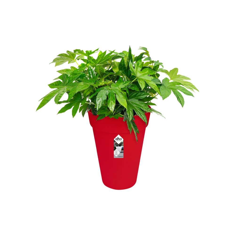 Loft Urban Rond Hoog 35