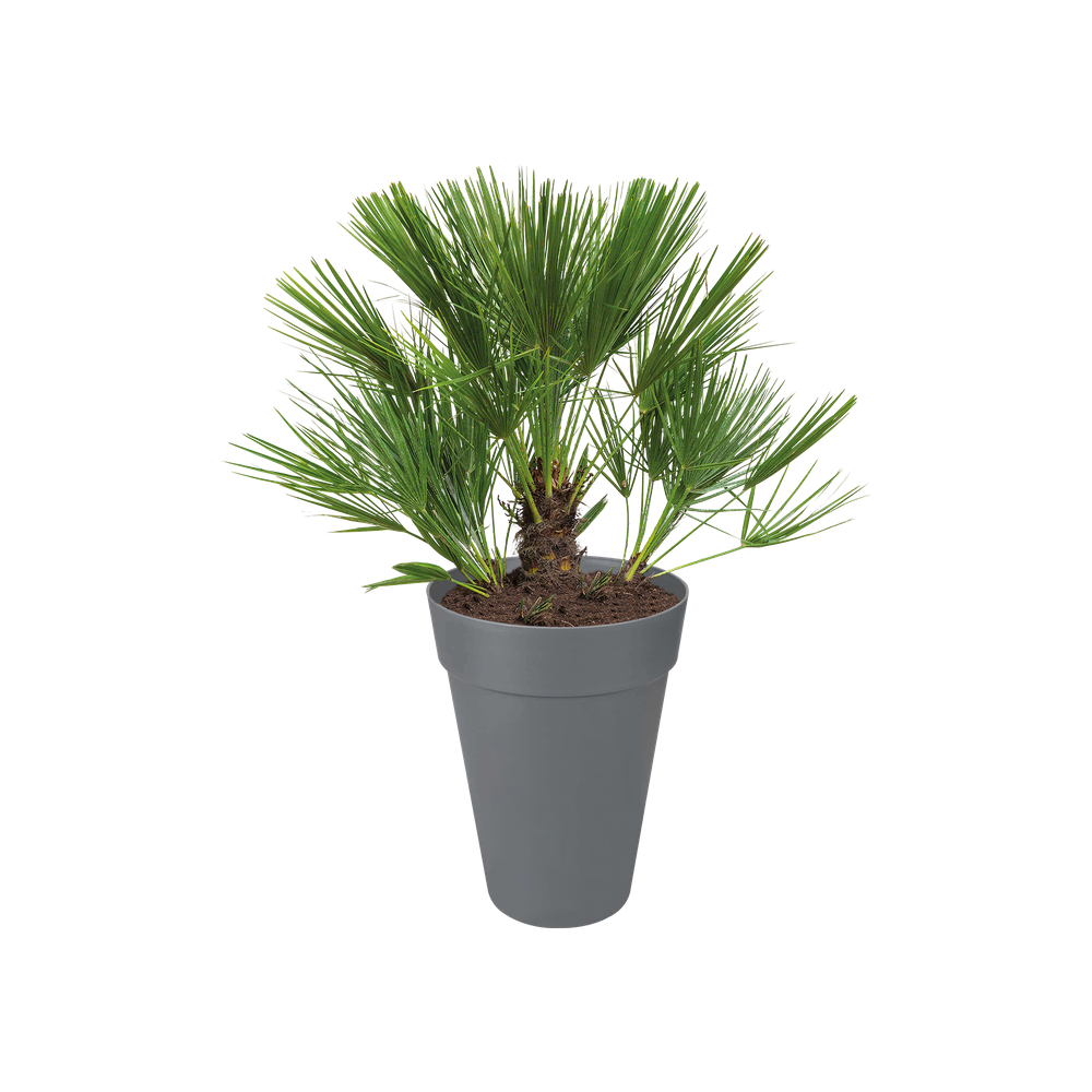 Loft Urban Rond Hoog 42