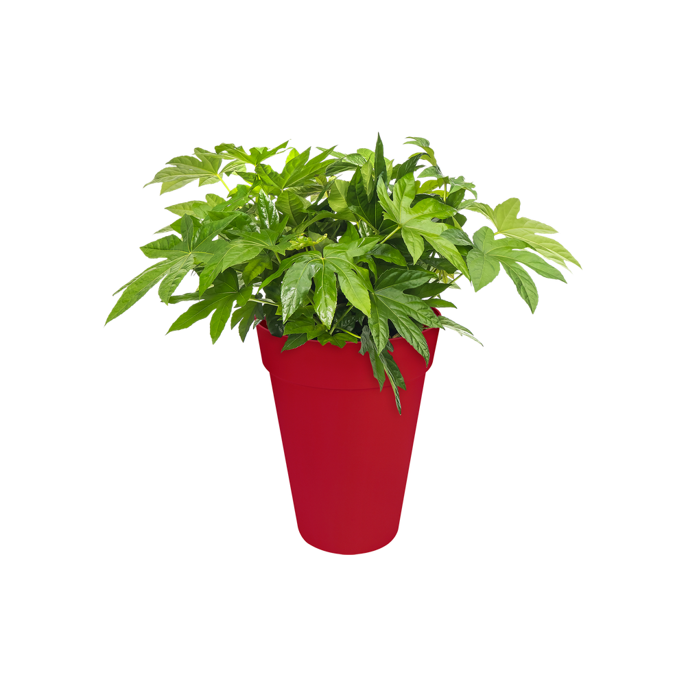 Loft Urban Rond Hoog 35