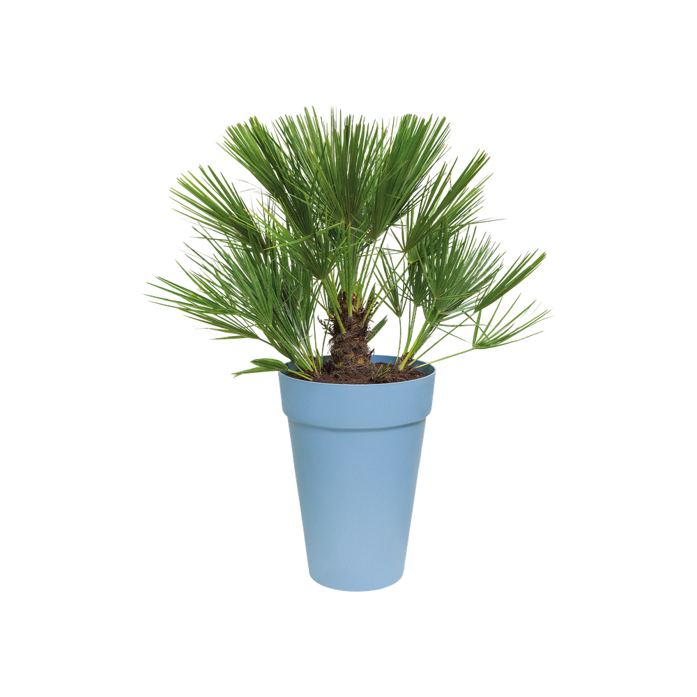 Loft Urban Rond Hoog 35