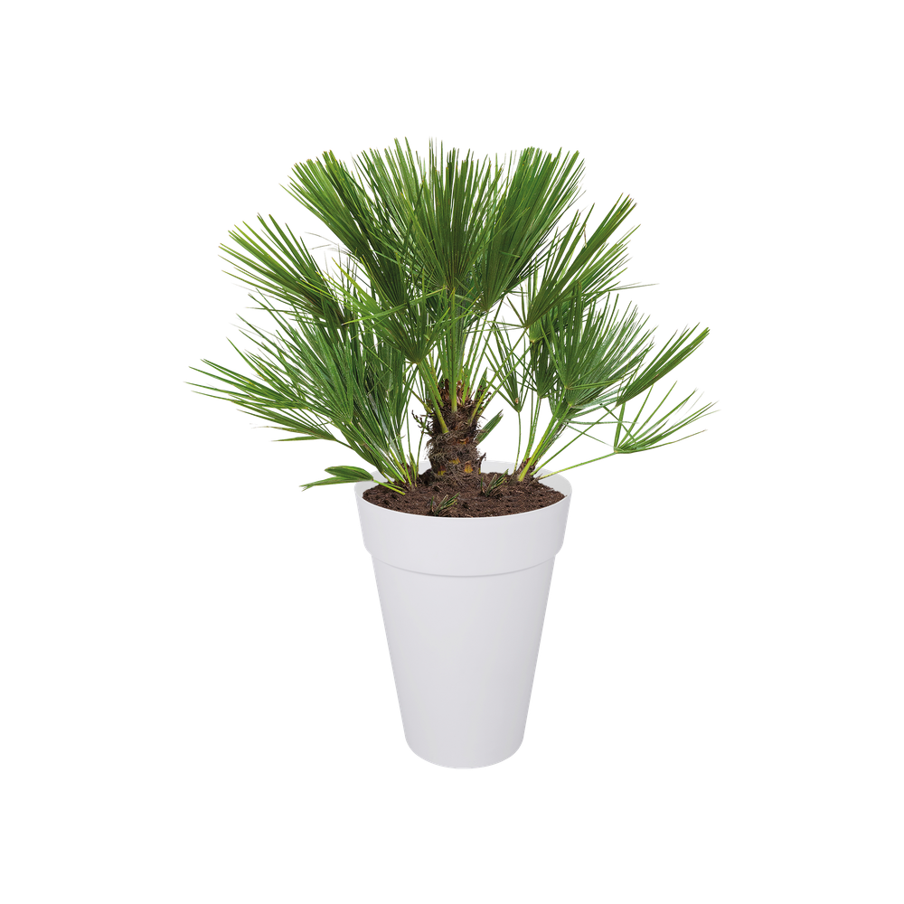 Loft Urban Rond Hoog 42