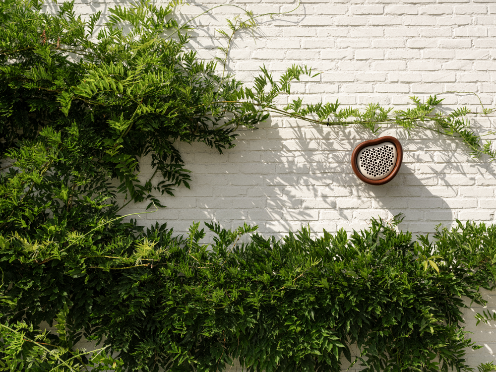 Organic Bee Hotel 25