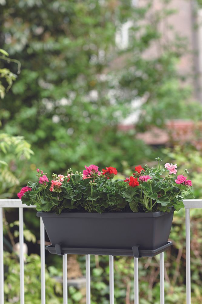 Barcelona Balkonbak Schotel 50