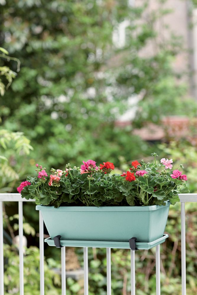 Barcelona Balkonbak Schotel 50