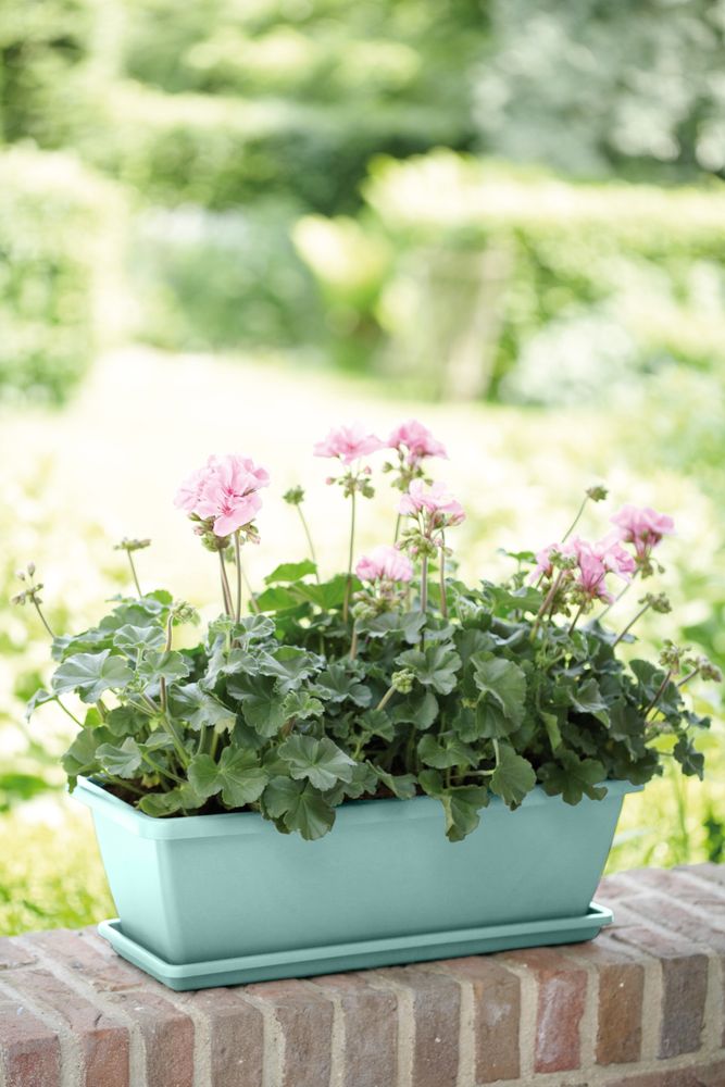 Barcelona Balkonbak Schotel 50