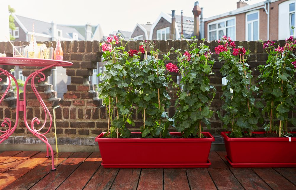 Barcelona Xl Schotel 80