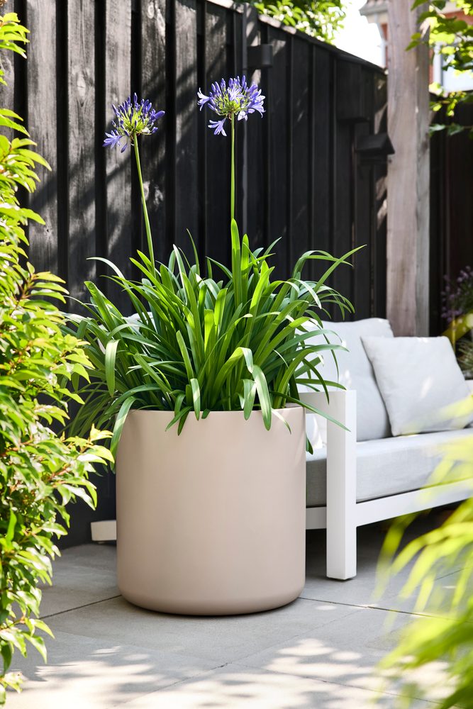 Pure Cilinder Wheels 50