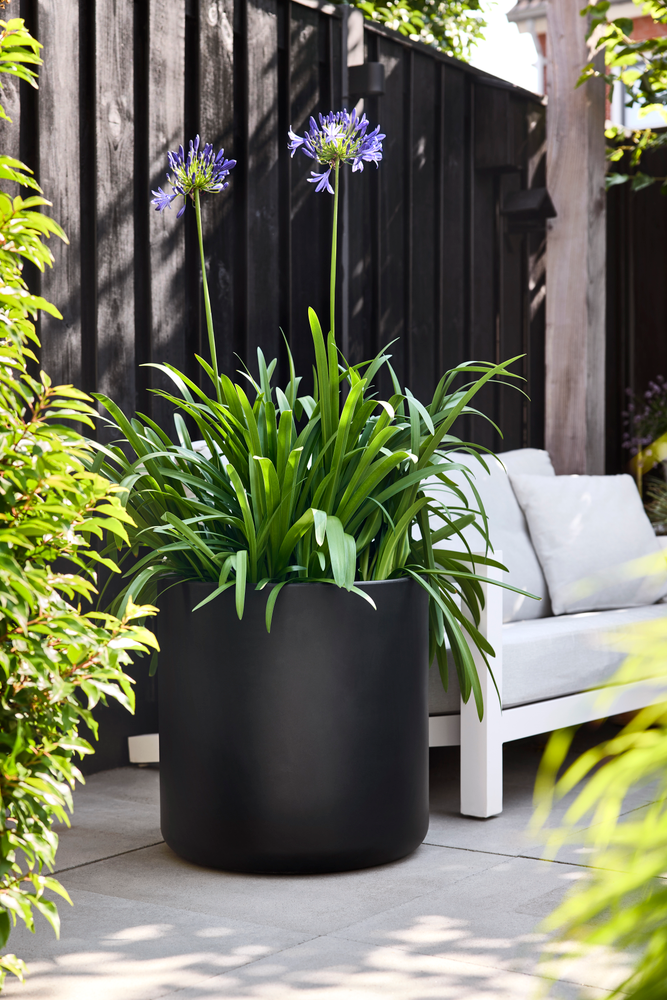 Pure Cilinder Wheels 50