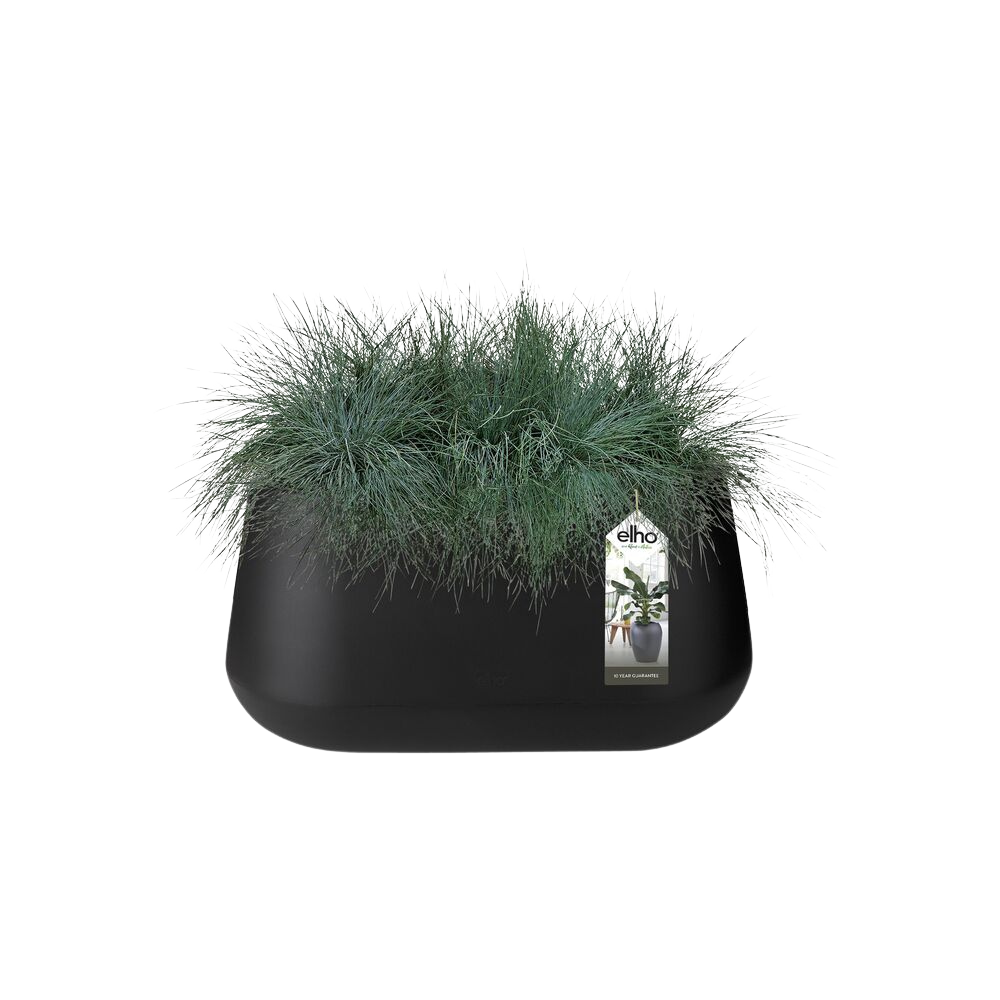 Pure Cone Long Wheels 75