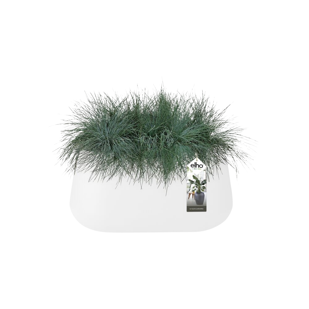 Pure Cone Long Wheels 75