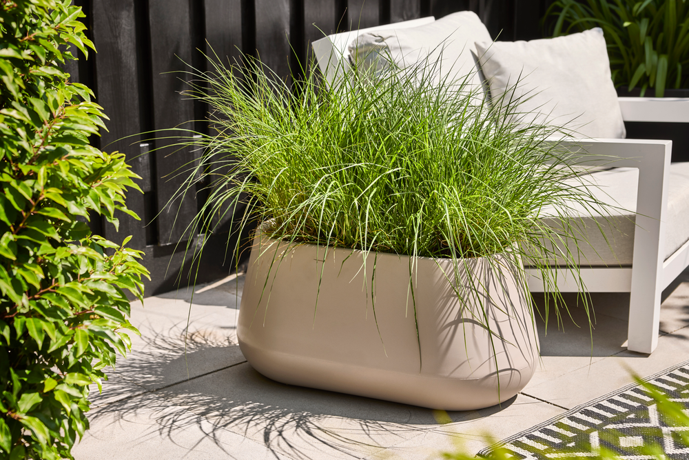 Pure Cone Long Wheels 75