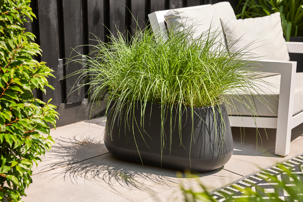 Pure Cone Long Wheels 75