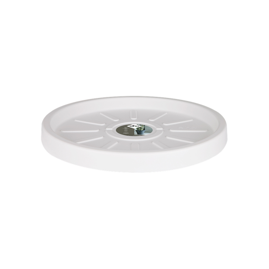 Pure Saucer 37