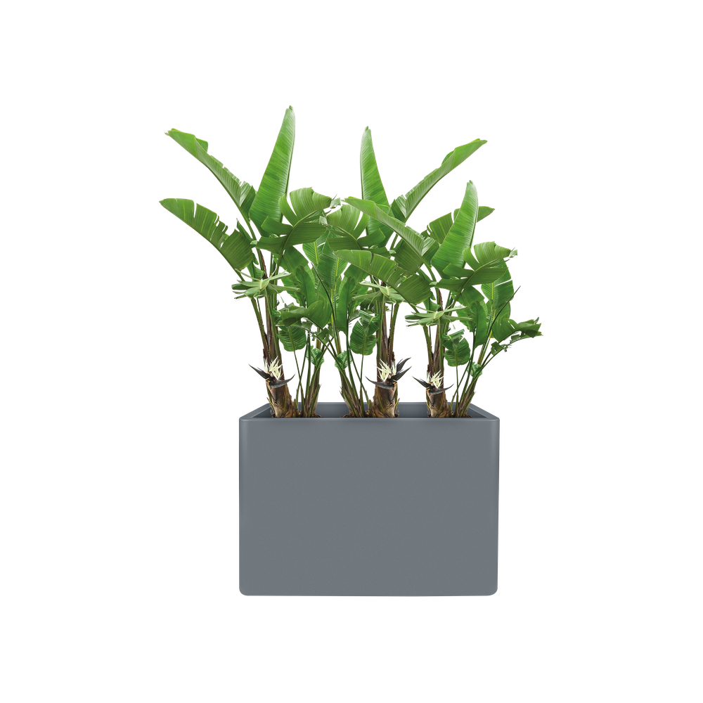 Pure Soft Brick Divider Wheels 80 Large