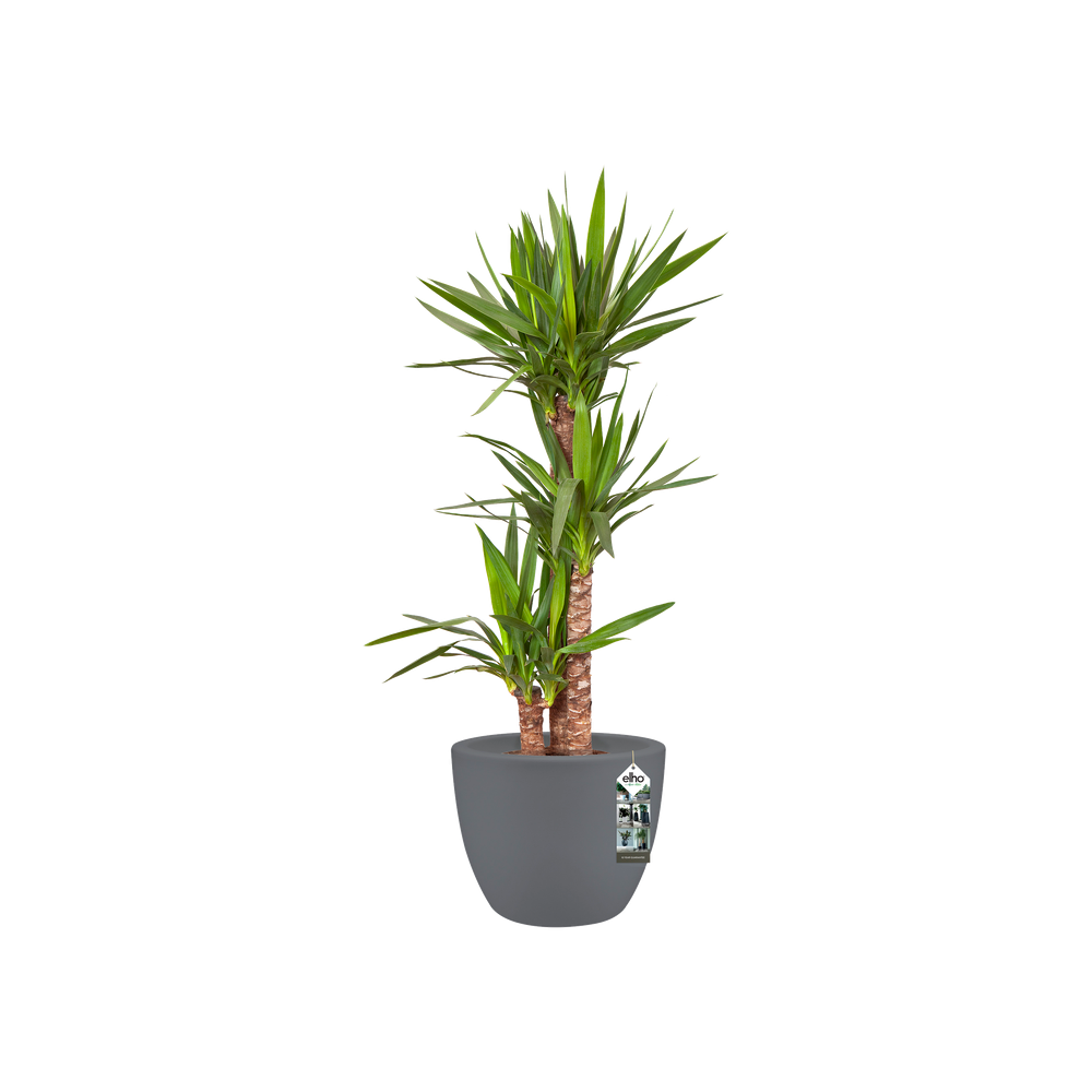 Pure Soft Round Wheels 40