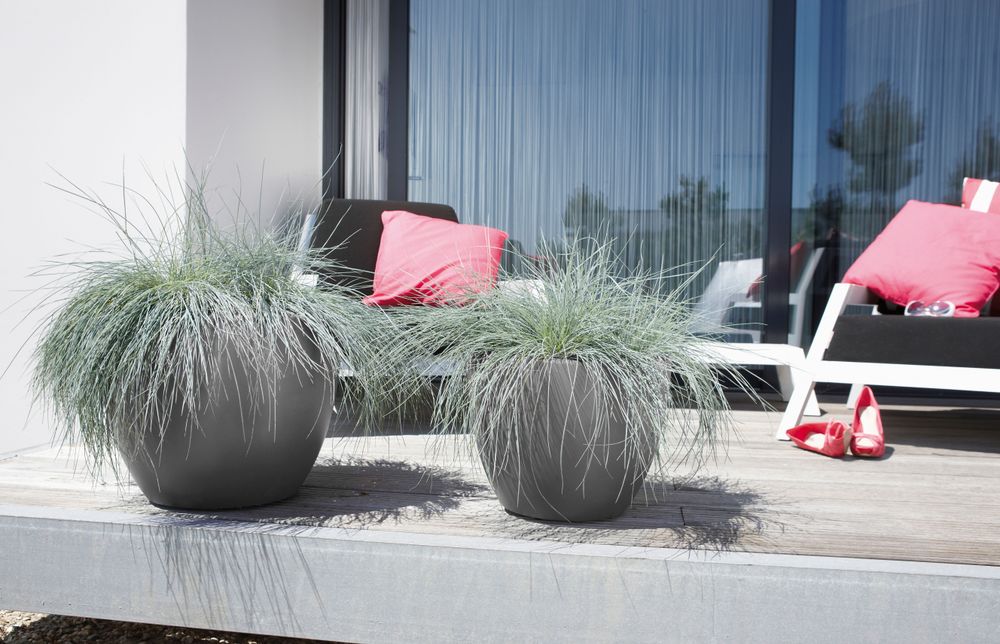 Pure Soft Round Wheels 60