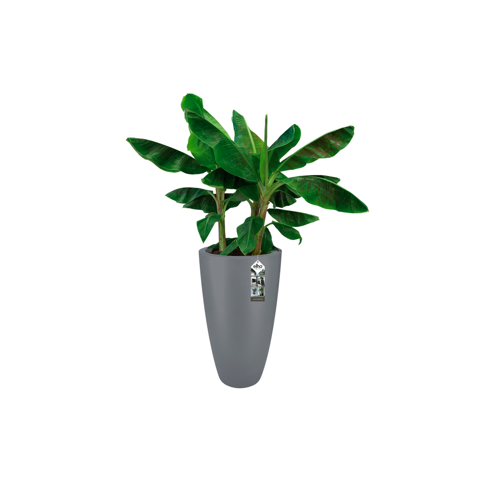 Pure Soft Round High 40