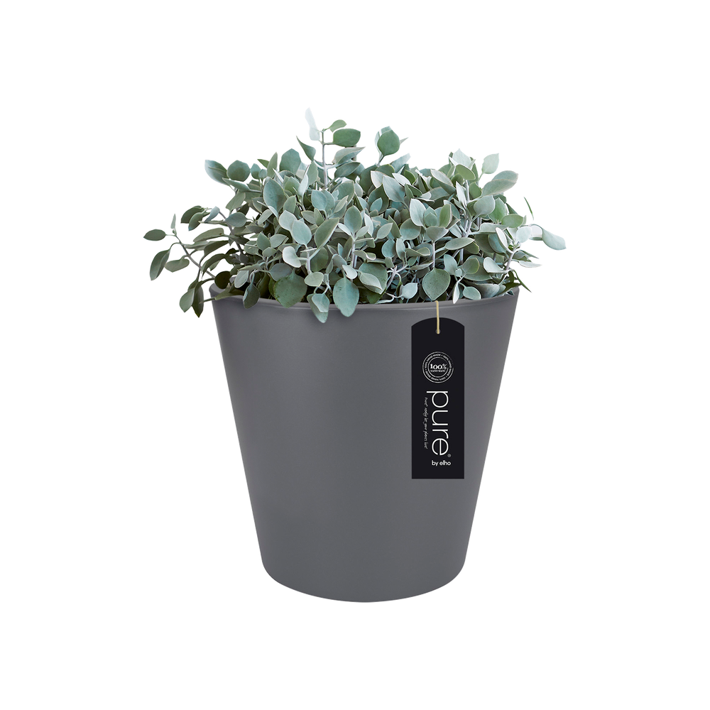 Pure Straight Round 65