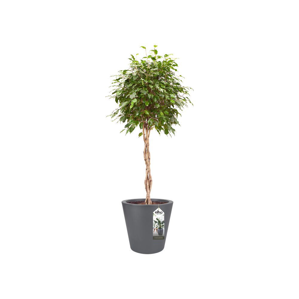 Pure Straight Round 80