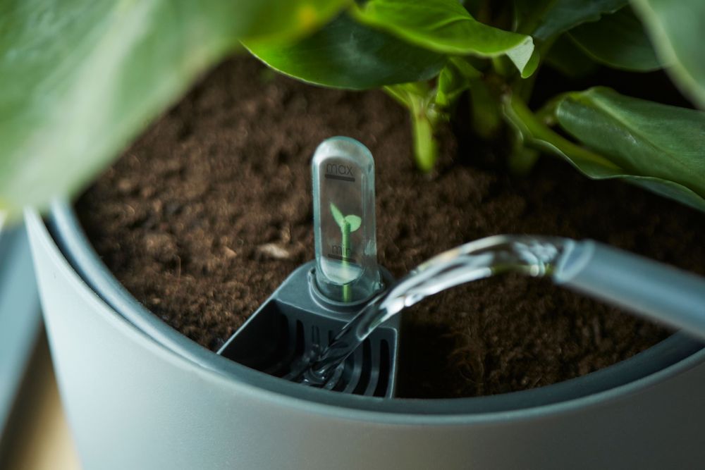 Self-watering Insert 36