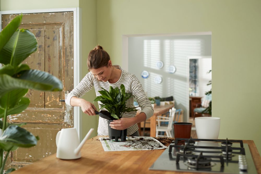 Self-watering Insert 36