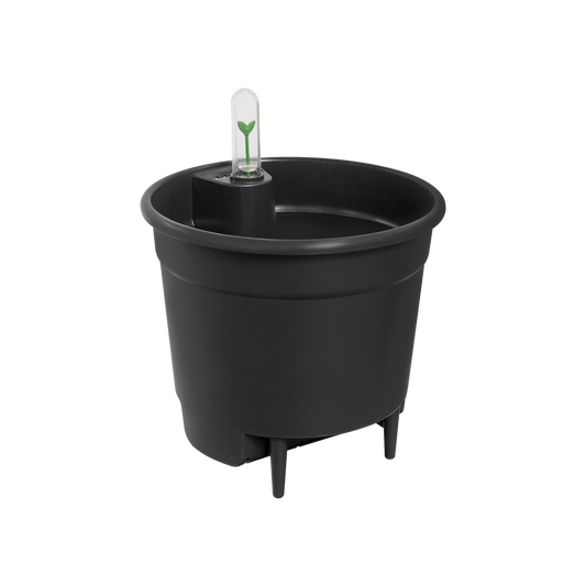 Self-watering Insert 33