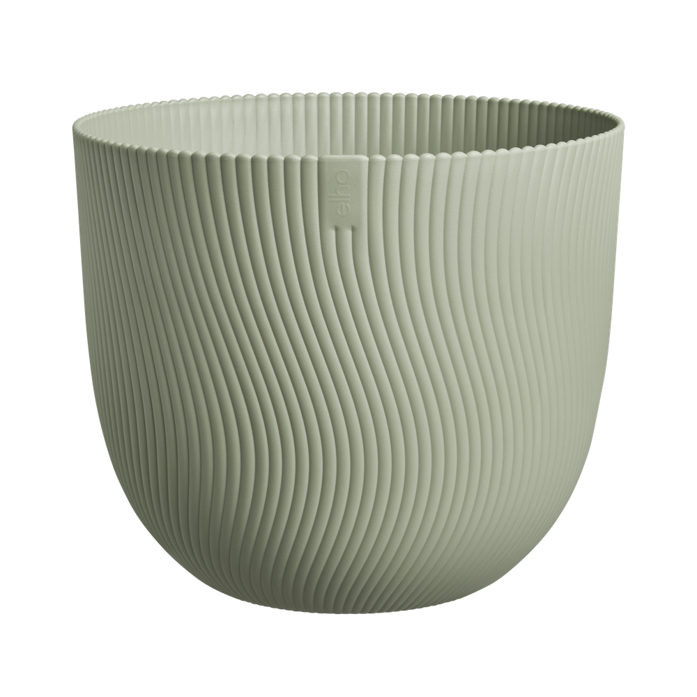 Sereh Rond 25