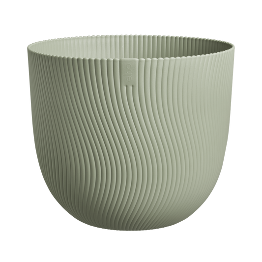 Sereh Rond 25