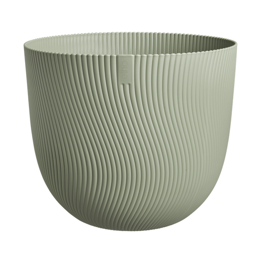 Sereh Rond 60