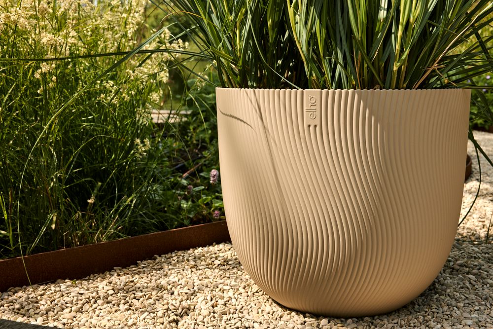 Sereh Rond 60