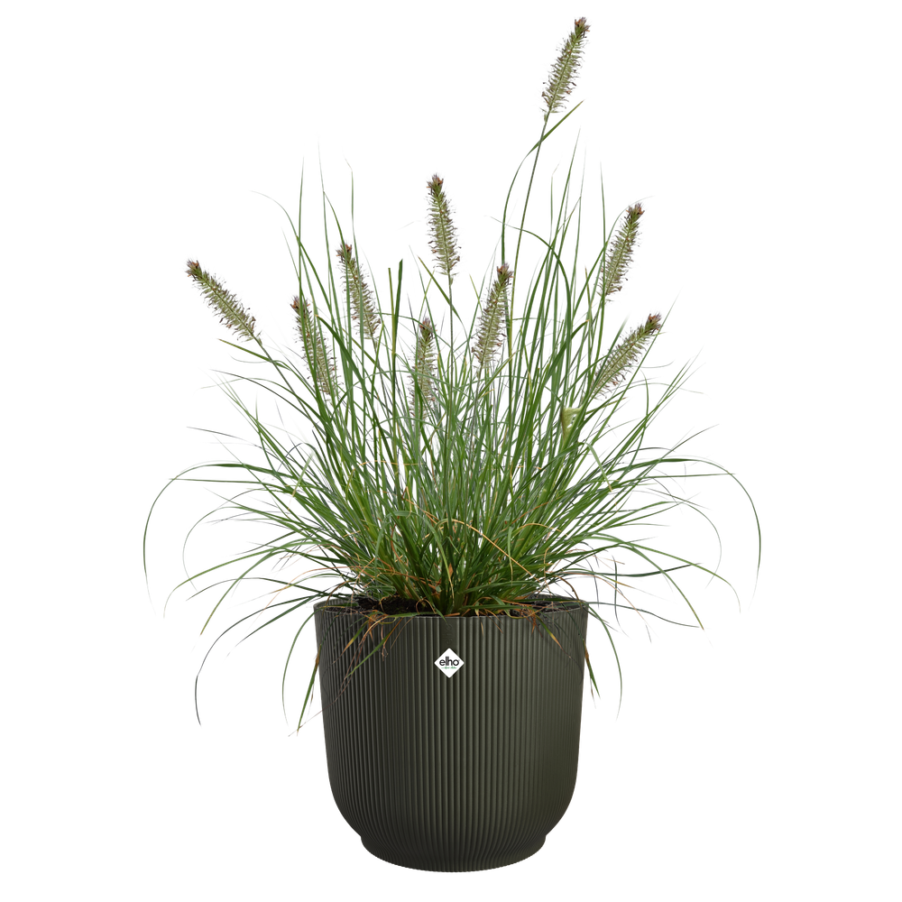 The Grass Collection Rond 47