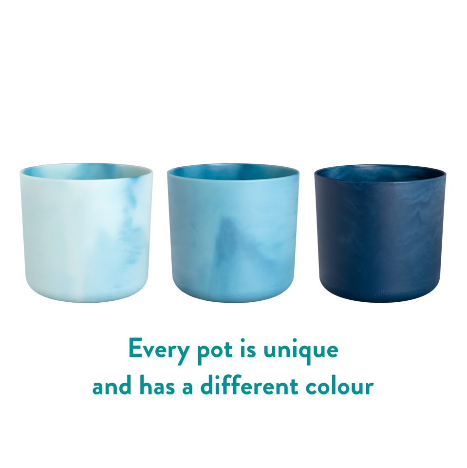 The Ocean Collection Round 22