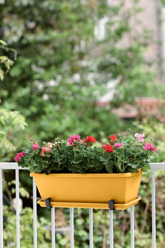 Barcelona Balkonbak 70