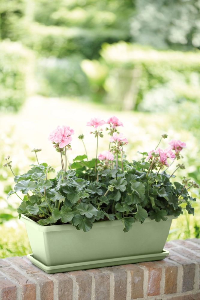 Barcelona Balkonbak Schotel 70