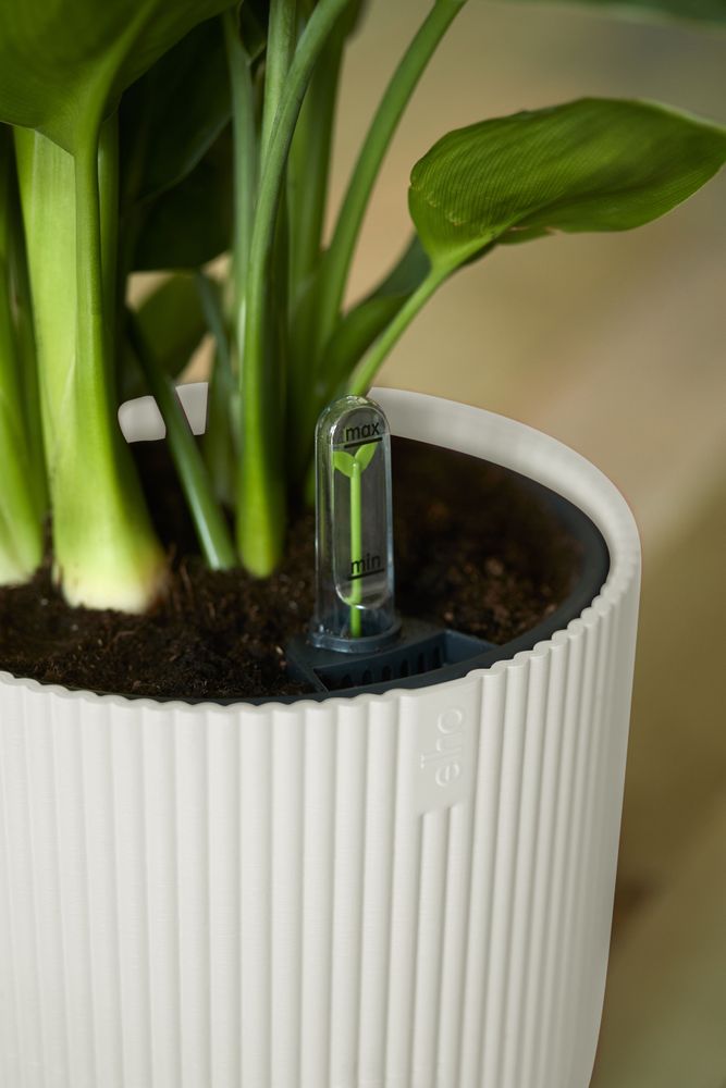 BNDL Vibes Fold Rond 22+swi 21