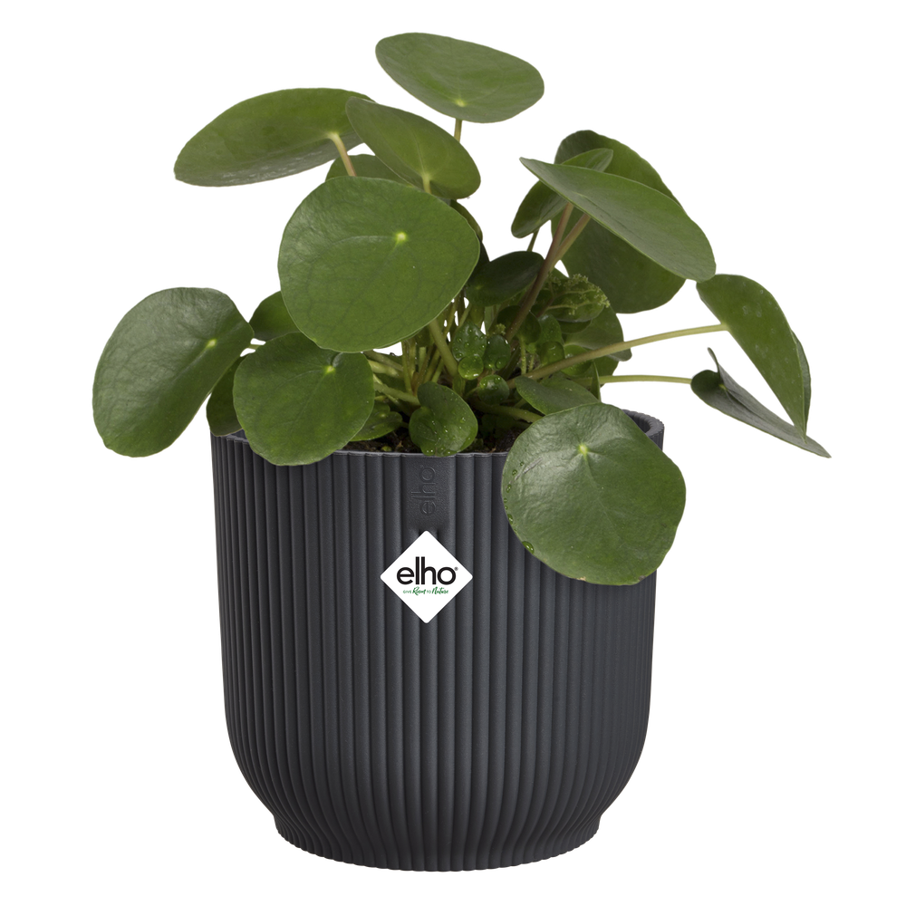 Vibes Fold Rond 22