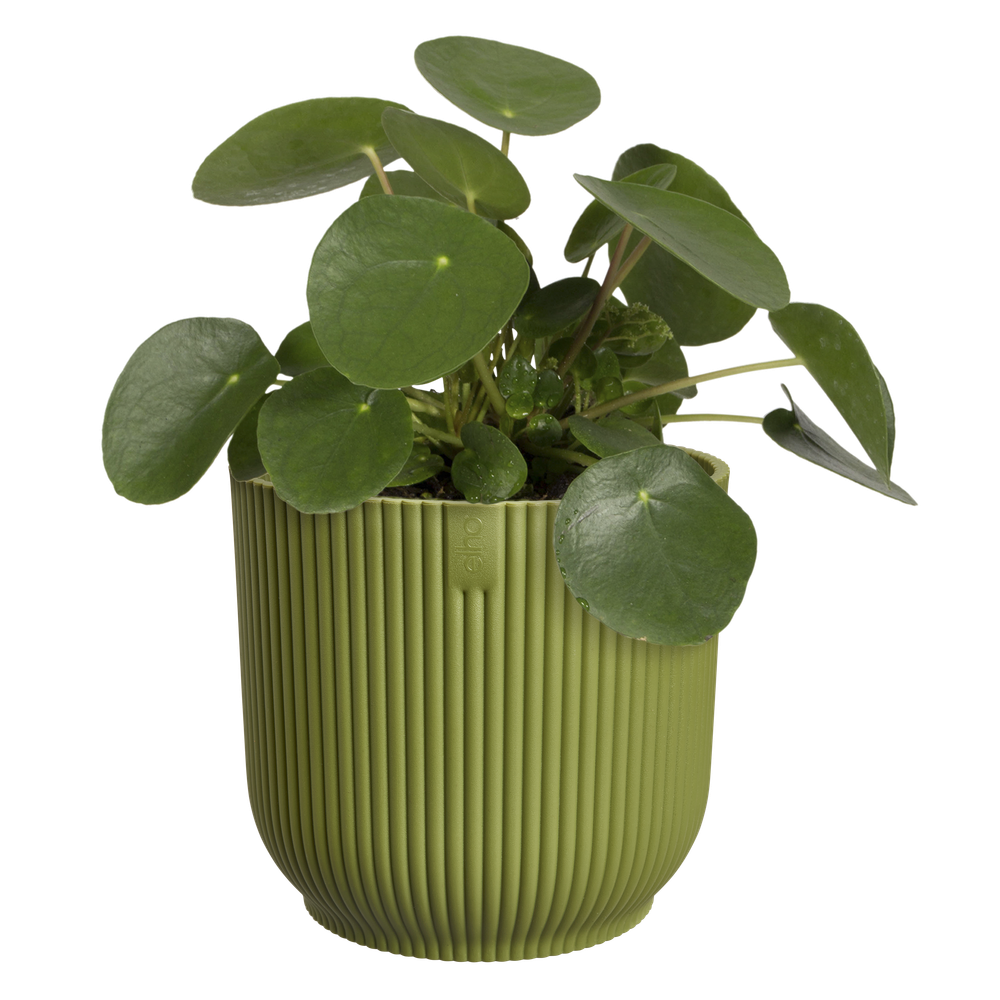 Vibes Fold Rond 22