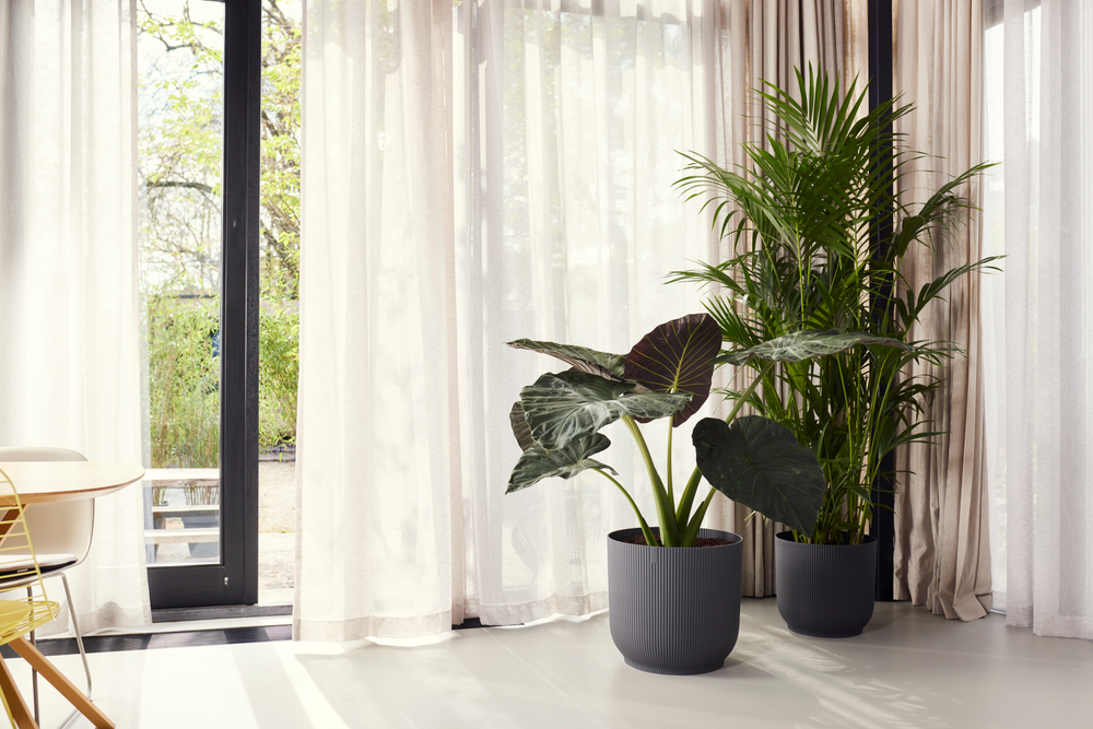Vibes Fold Rond 40