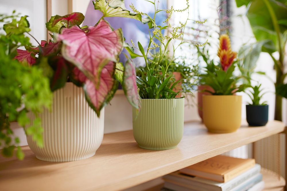 BNDL Vibes Fold Rond 14,16,18