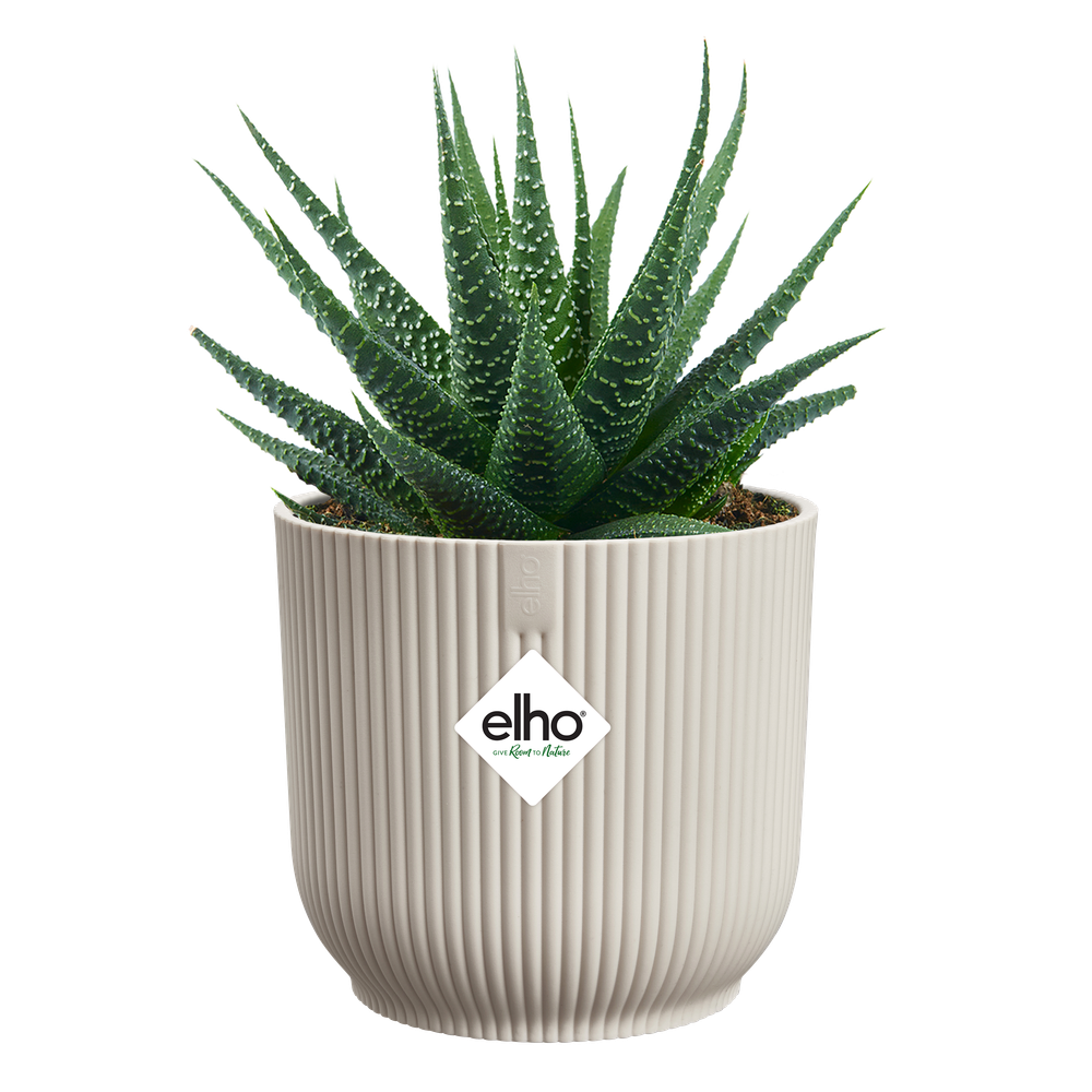 Vibes Fold Rond Mini 9