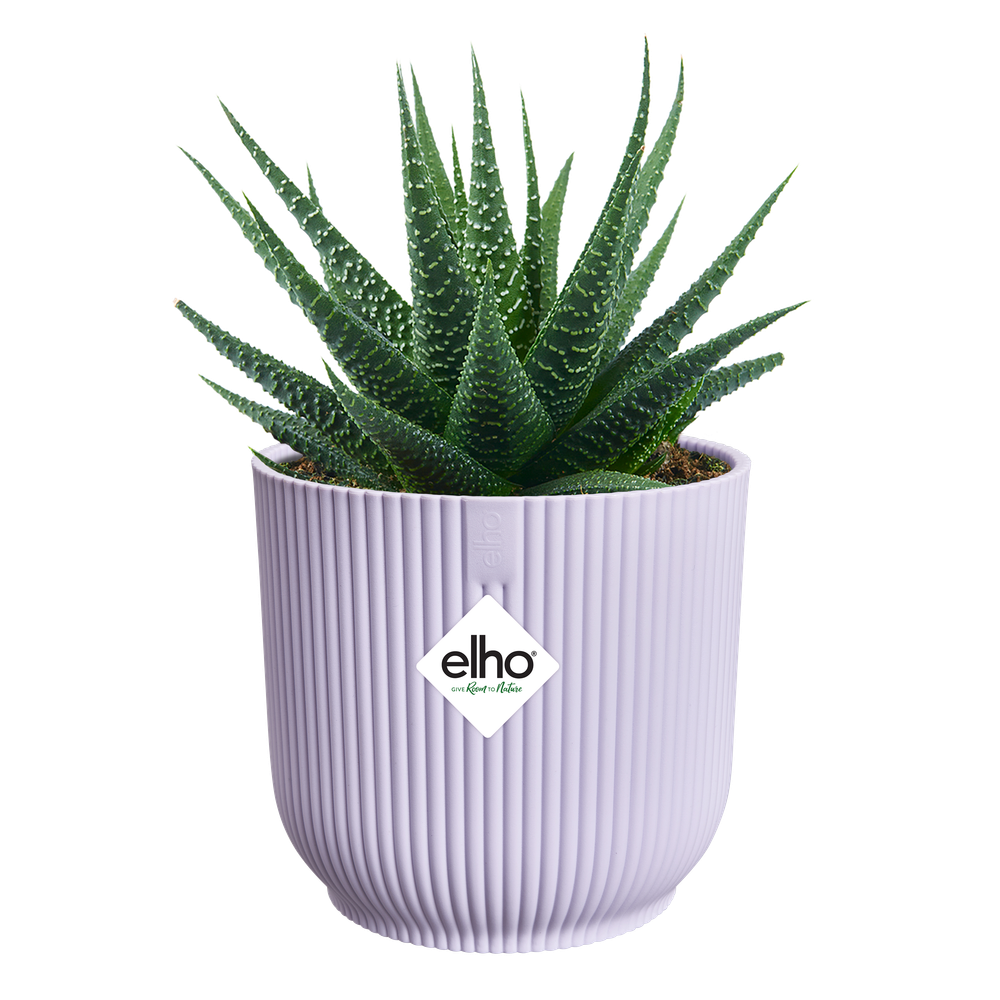 Vibes Fold Rond Mini 11