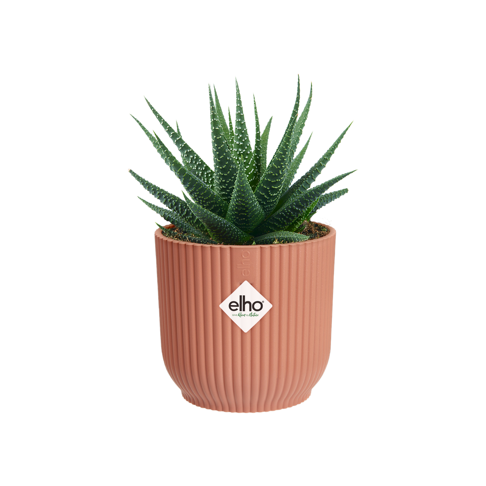 Vibes Fold Rond Mini 11